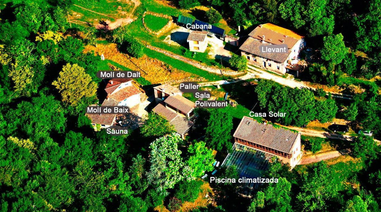 La Cabana Del Moli De La Plana Riudaura Bagian luar foto