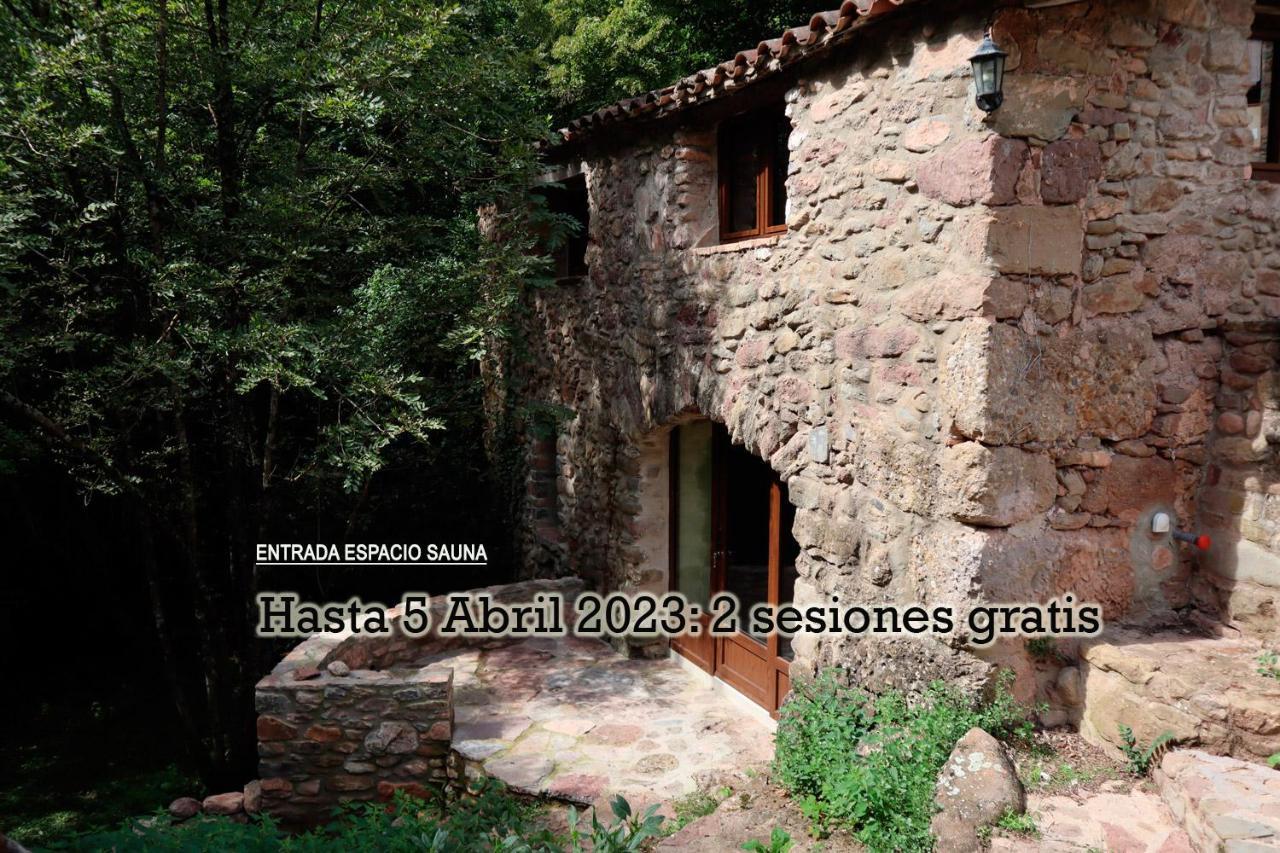 La Cabana Del Moli De La Plana Riudaura Bagian luar foto