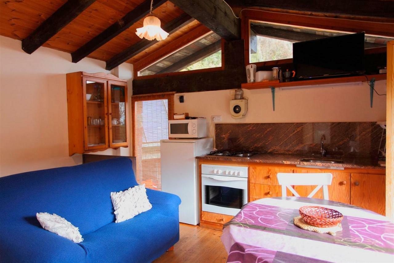 La Cabana Del Moli De La Plana Riudaura Bagian luar foto