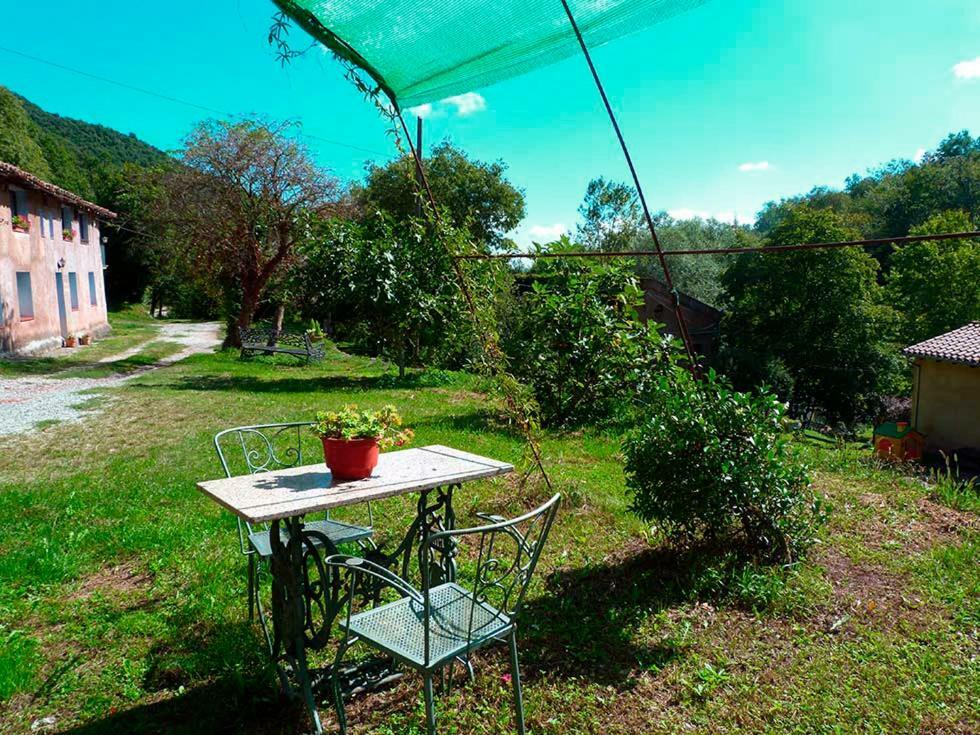 La Cabana Del Moli De La Plana Riudaura Bagian luar foto